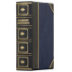  Репринтне видання 1920 р. "Відродження нації" В. Винниченко у подарунковому форматі 