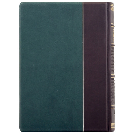 Справа Василя Стуса