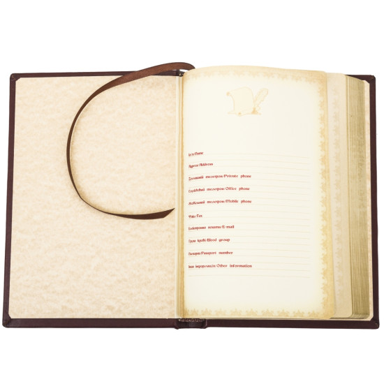 Щоденник з гербом України незатвердженим