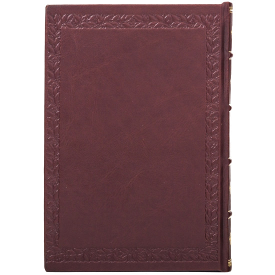 Щоденник з гербом України незатвердженим