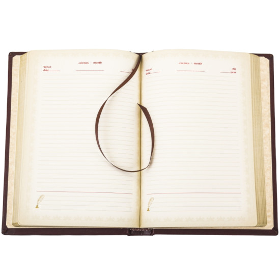 Щоденник з гербом України незатвердженим