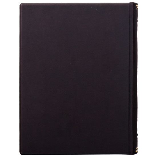 Серія «Літературні пам'ятники». «Рамаяна»