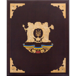 Подарункове видання «Ілюстрована історія України»  Грушевський М.С. з ювелірним декором та інкрустацією дорогоцінним камінням в дерев'яному футлярі