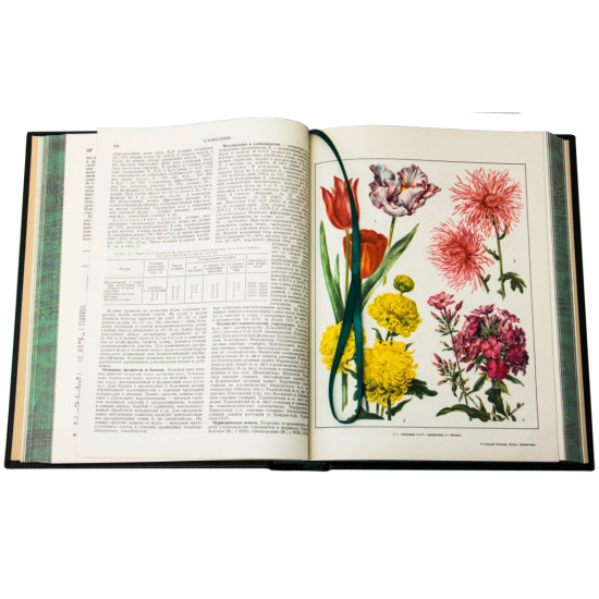 Сільськогосподарська енциклопедія у 6 томах 1969-1975 рр. з декором металевими посрібленими репліками медалей