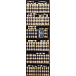 Бібліотека української літератури в 100 томах в дизайнерських шкіряних палітурках 