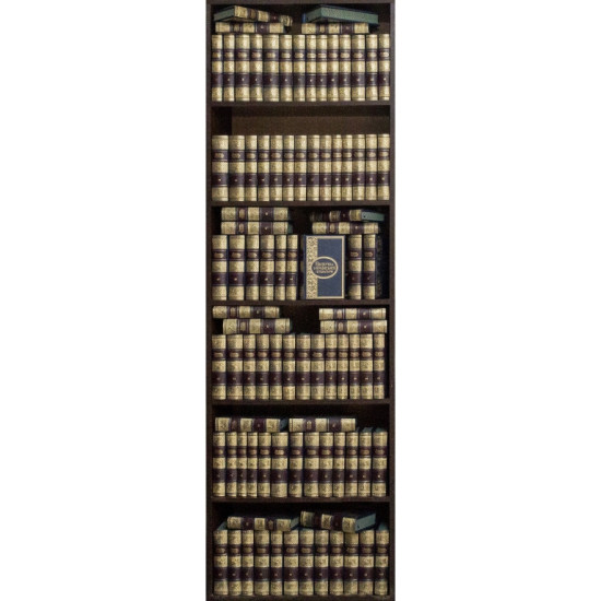 Бібліотека української літератури в 100 томах в дизайнерських шкіряних палітурках 