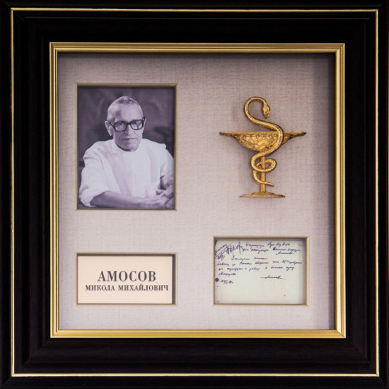 Подарунок "Амосов М.М." Серія "Видатні особистості в історії України"
