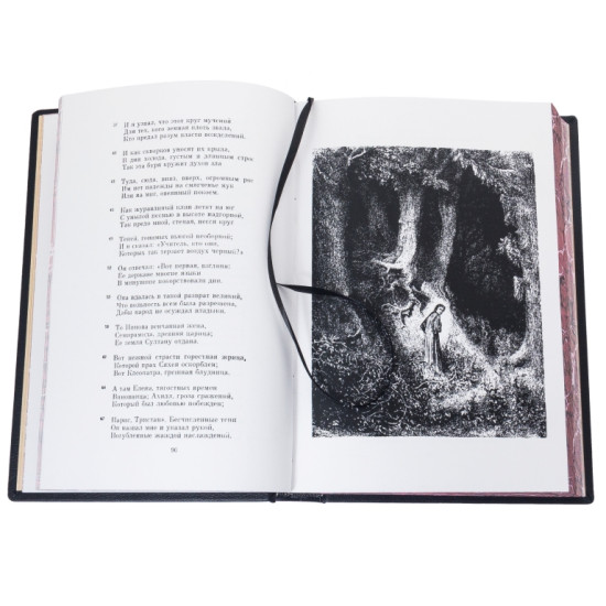 Подарункове видання "Божественна комедія" Данте Аліг'єрі з картиною на металі