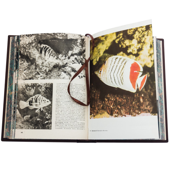 Подарункове видання "Ілюстрована енциклопедія" в 9 томах