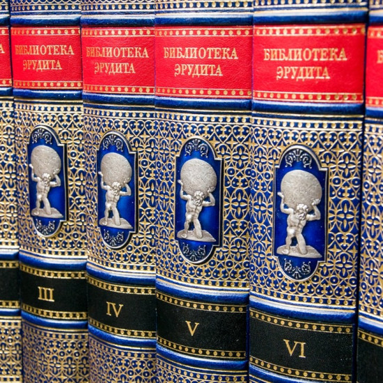 Бібліотека Ерудіта