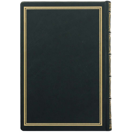 Щоденник Рік Змії