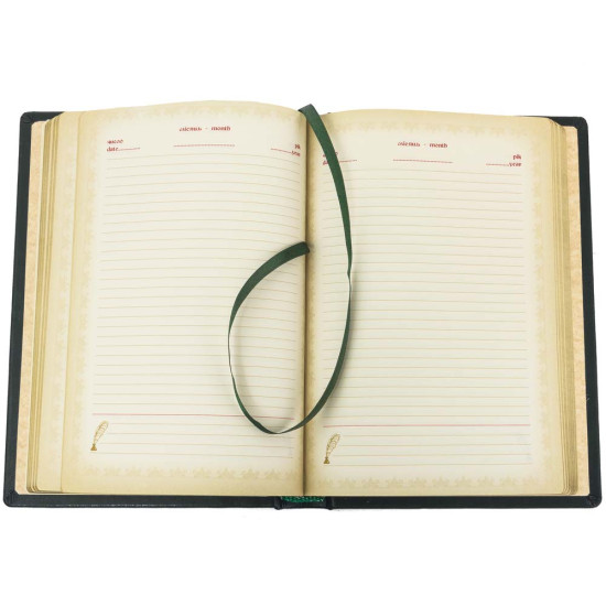 Щоденник Рік Змії