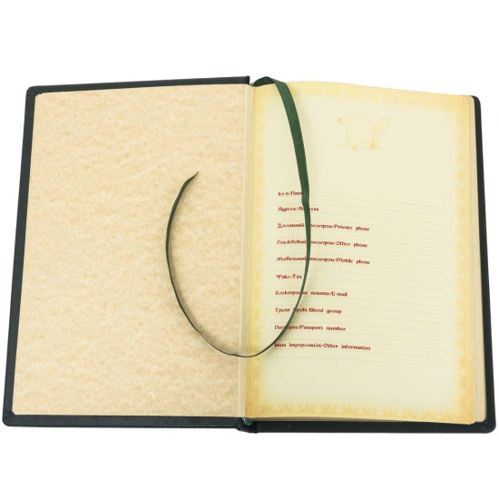 Щоденник Рік Змії