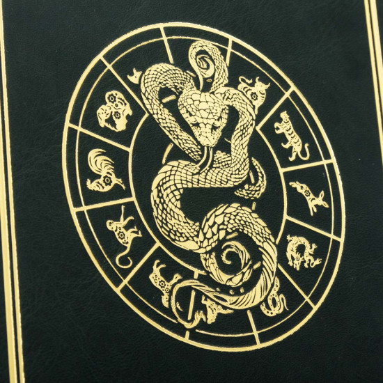 Щоденник Рік Змії