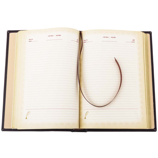 Щоденник "Київ Софійський собор"