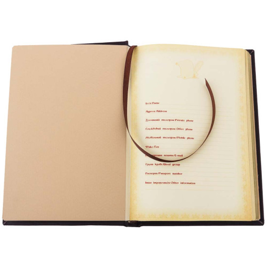 Щоденник "Київ Софійський собор"