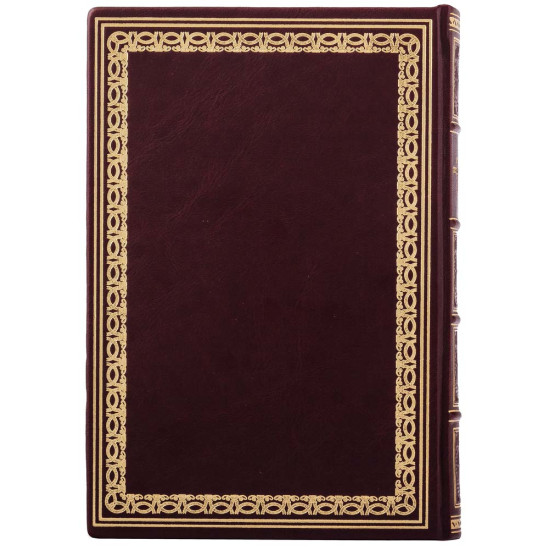 Подарункове видання «Війни в лабіринтах. Історія спеціальних служб. 1919—1930» у шкіряних палітурках з картиною на металі