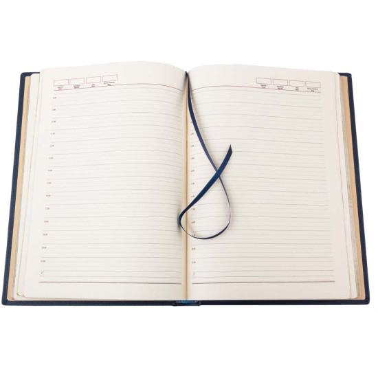 Щоденник "Суддя" (шкіра, метал, сріблення, емалі)