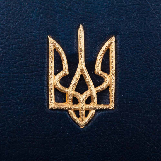 Подарункове видання "Конституція України" в футлярі з позолоченими кутами