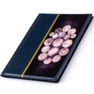 Альбом для монет з картиною рі...