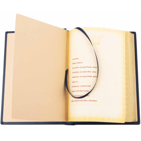 Щоденник "Державне бюро розслідувань" (Золоте тиснення яскравого тону)