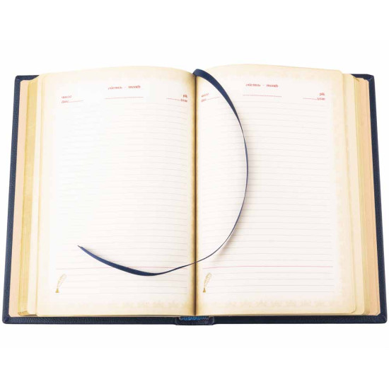 Щоденник "Державне бюро розслідувань" (Золоте тиснення яскравого тону)