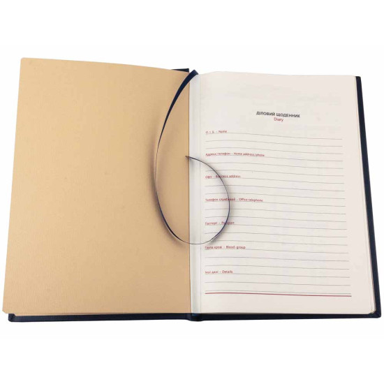 Щоденник "Державне бюро розслідувань"