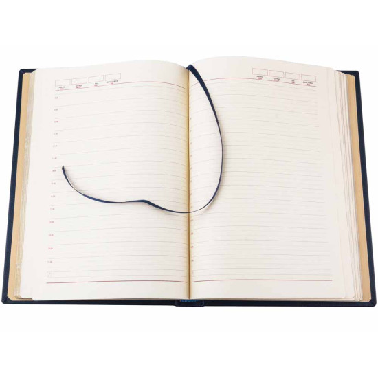 Щоденник "Державне бюро розслідувань"