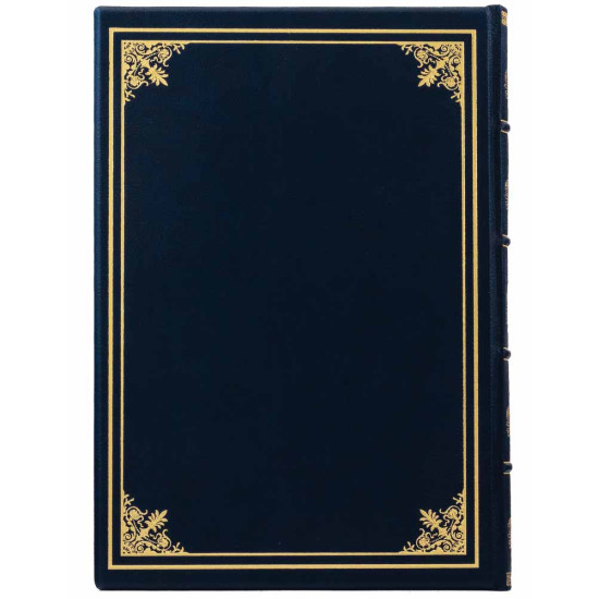 Щоденник "Державне бюро розслідувань"