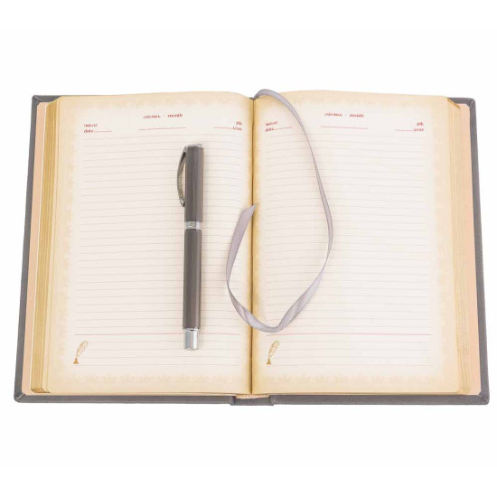 Подарунковий набір "Timeline" (щоденник і ручка)