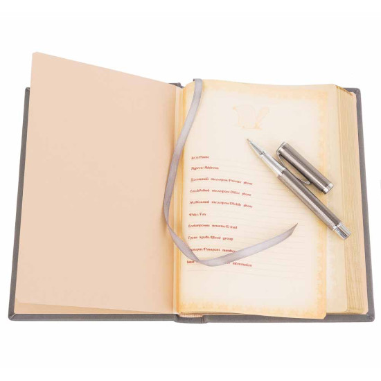 Подарунковий набір "Timeline" (щоденник і ручка)