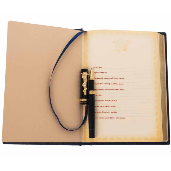 Подарунковий набір  для медпрацівників з ручкою Tenso і щоденником "Крила здоров'я"