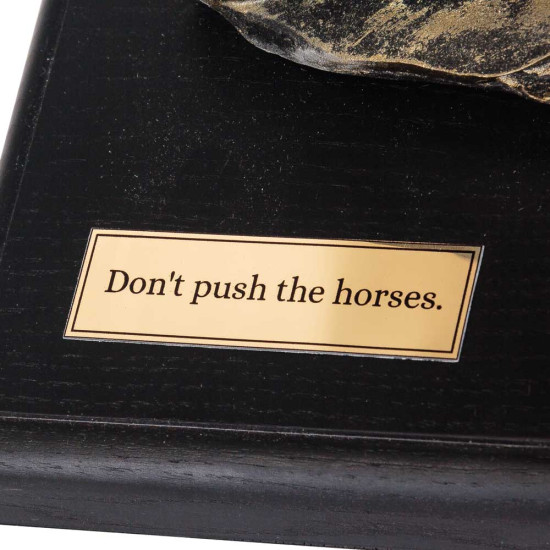 Подарунковий набір "Еліксир перемоги: з конем та підковою"