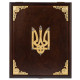 Подарункова книга "Ілюстрована історія України" у коробці. Грушевський М.С.