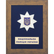 Колаж «Національна поліція»...