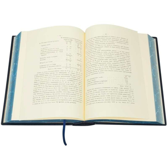 Книга "Огляд Києва". Фундуклей І.І.