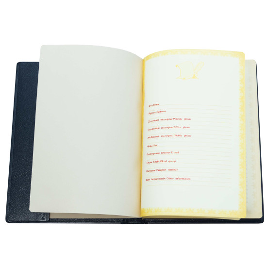 Щоденник "Тризуб"