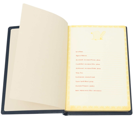 Щоденник "Укрзалізниця"