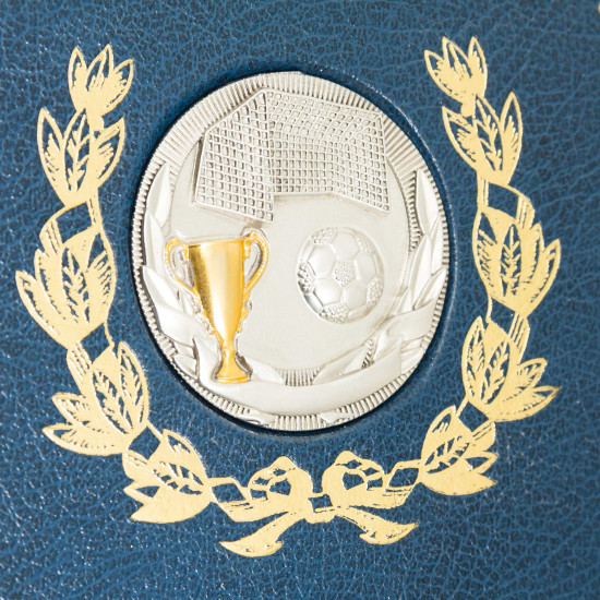 Подарункове видання "Історія чемпіонату України з футболу" в 3-х томах з металевими накладками (позолота, сріблення)