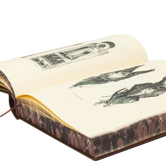 Збірка «Собор Св. Князя Володимира» та «Київ тепер і раніше» у подарунковому футлярі. Кульженко С.В.