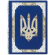 Подарункове видання «Ілюстрована історія України» Грушевський М.С. з срібним ювелірним декором з сапфірами та емалями у шкіряній коробці