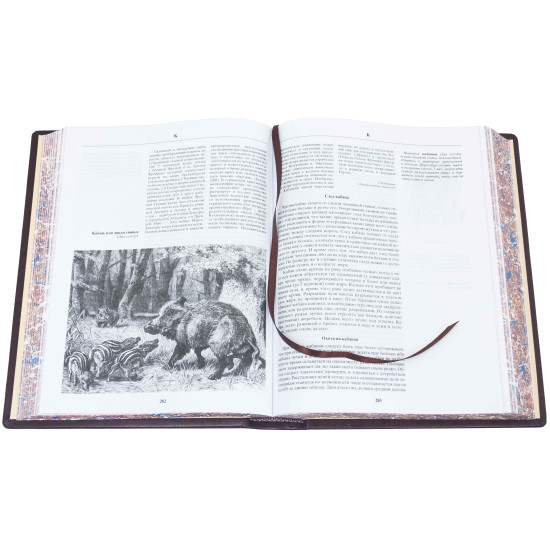 Подарункове видання "Енциклопедія полювання" з металевим посрібленим декором та картиною на металі у дерев'яній скрині-футлярі