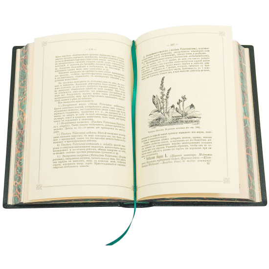 Репринтне видання 1871 року "Цілющий травник» у шкіряному футлярі