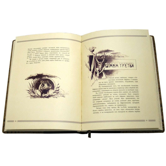 Подарункове видання "У джунглях Африки". Городецький В.В.