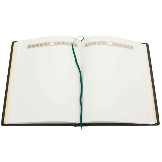 Родова книга. Володимир Мегре